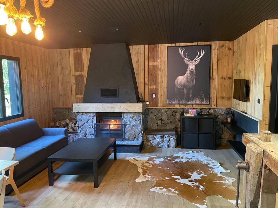 Chalet En Foret Avec Etang. Saint-Etienne-les-Remiremont Экстерьер фото