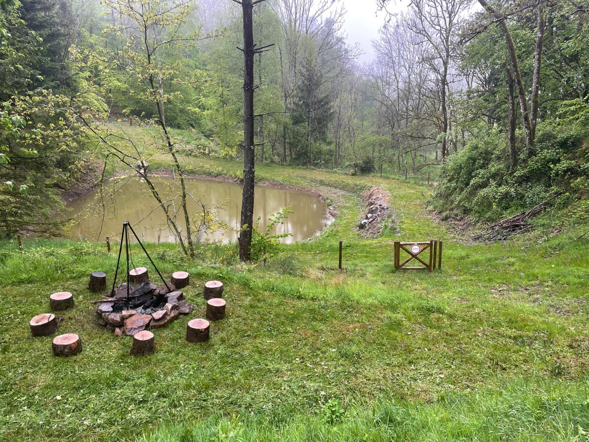 Chalet En Foret Avec Etang. Saint-Etienne-les-Remiremont Экстерьер фото